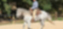 Balanced Horse and Rider Clinic (9/25-9/27)