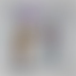 PROBLEMÁTICA OBSERVADA EN LA PRIMARIA