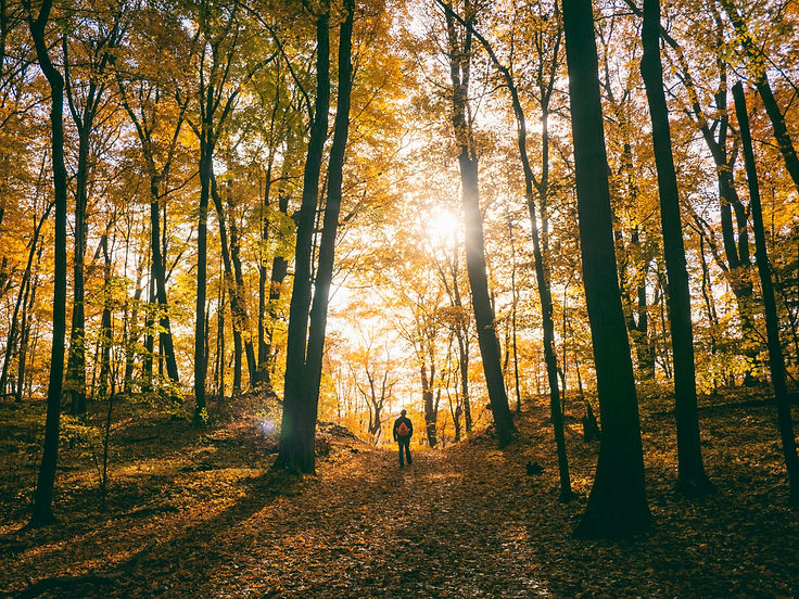Fall hiker .jpg