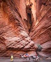 Weixin Image_20251018181535_193_1.jpg