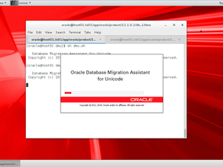 Database Migration Assistant for Unicode (DMU)