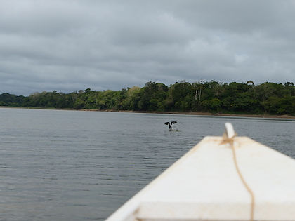 P1030042.JPG