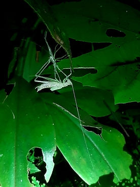 20190913_180209.jpg