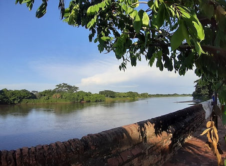 20190817_171116.jpg