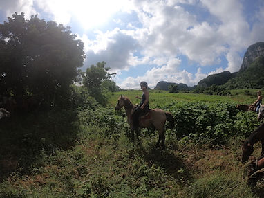 GOPR0800.JPG