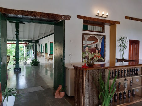 20190817_083131.jpg