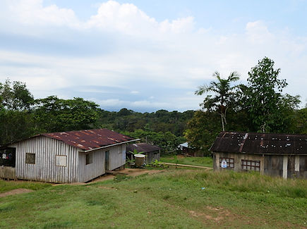 P1030173.JPG