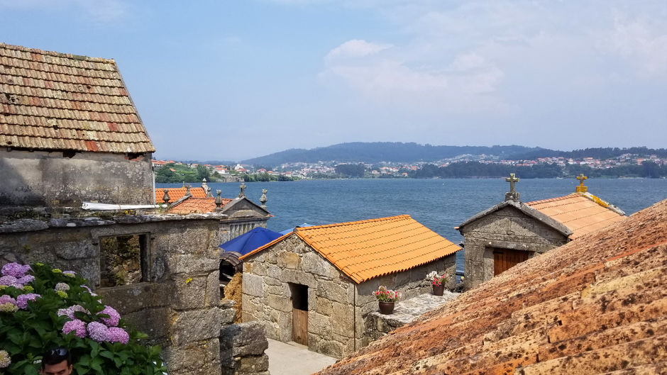 ¡Bienvenidos! Welcome!