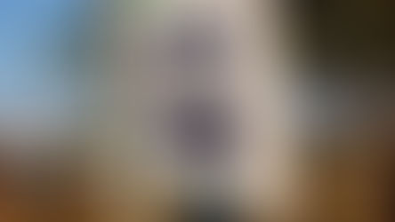 Election de Bassirou Diomaye Faye : Le Sénégal, Une Démocratie de Bambous