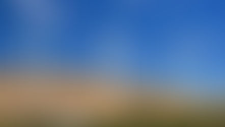 Africa and Climate Change: Climate Funds and The Path to Green Energy