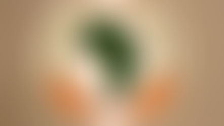 Impact of the African Union’s Economic Diplomacy on the Prosperity of African Nations