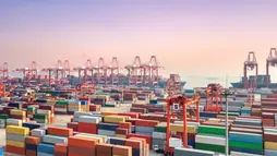 Nouveau Modèle de Développement et Partenariats Axés Sur l’IDE Pour une Croissance Accélérée de L’Afrique