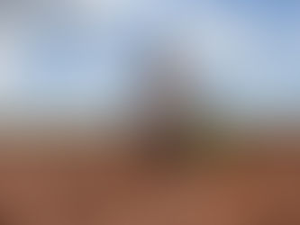 Le Sahel Entre Urgence Climatique et Quête de Résilience Durable : Comment Faire Face à la Menace Croissante de la Désertification ?