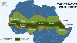 COP30 Motif on Africa’s Climate Pathways