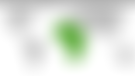 L'Union Africaine Est-elle Fonctionnelle ?