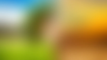 İklim Değişikliği ile Sürdürülebilir Direnç Arasında Sahel : Çölleşmenin Artan Tehdidine Nasıl Karşı Koyulabilir?