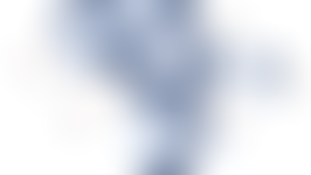 E Rôle Des Investıssements Dans L'économıe Afrıcaıne Et Leur Impact Sur Le Nıveau De Vıe