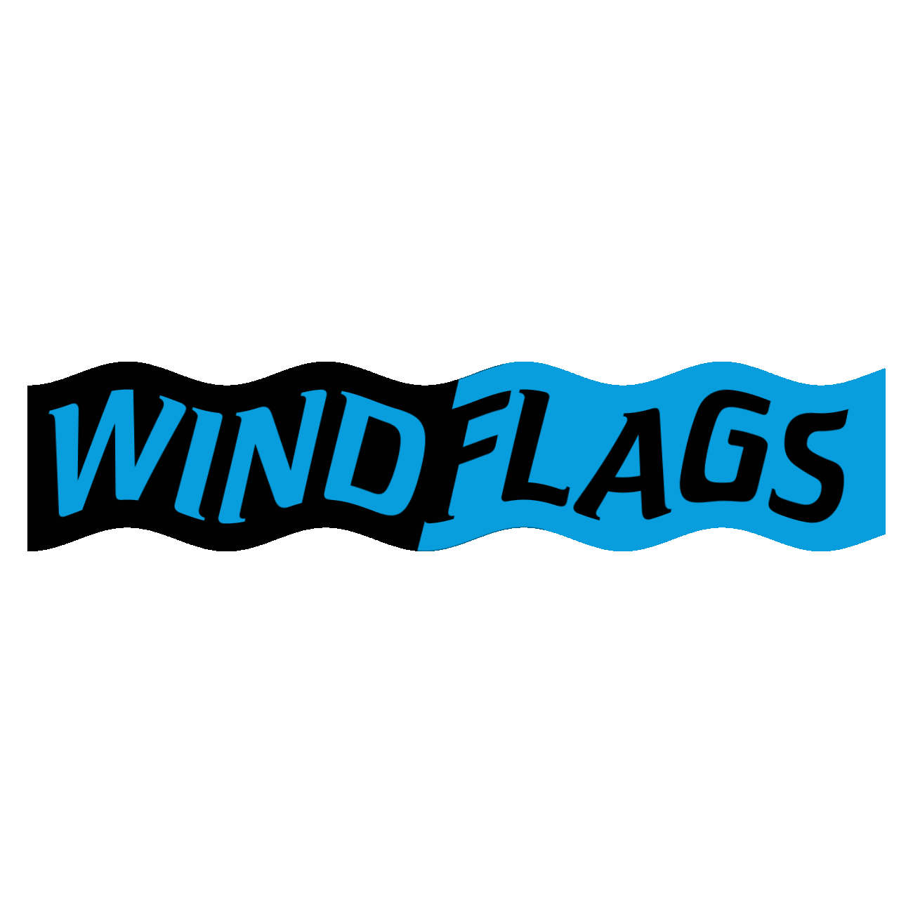 Logo WindFlags Animada.gif