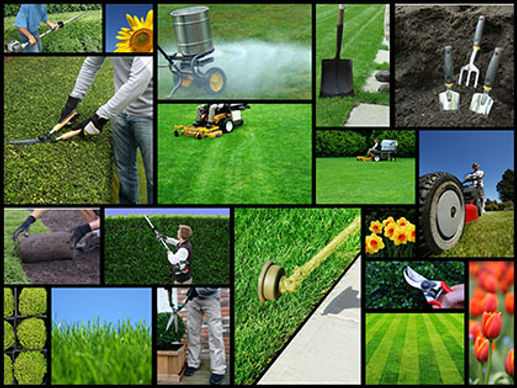 Lawn Maintenance