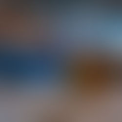 Communales 2026, voici les propositions du PLR Aigle