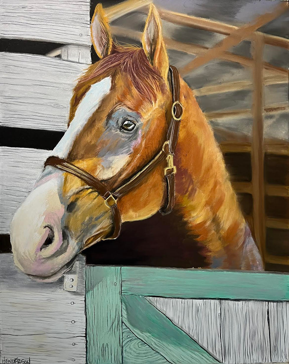 Horse Portrait