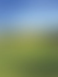LIV Golf, Season-Finale Event in Jeopardy