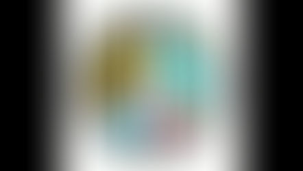 Comité de Solidaridad e Igualdad