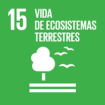 S_SDG-goals_icons-individual-rgb-15.png