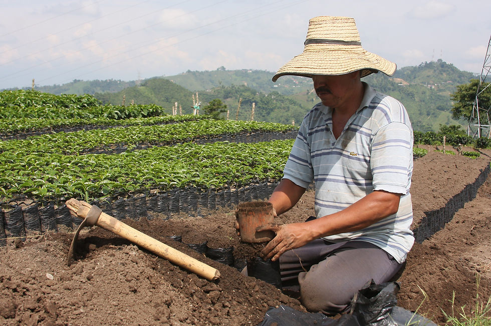 Colombia_MG_2205-4.jpg