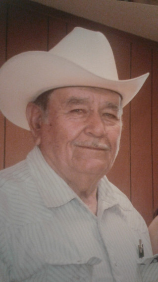 Ignacio Peraza-Valenzuela