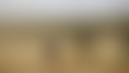 Working to Mitigate the Risks of Food Shortages and High Prices