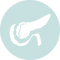 Поджелудочная (белый).png