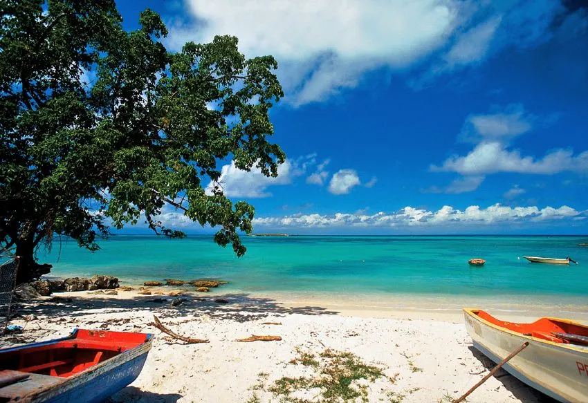 Plage des raisins clairs