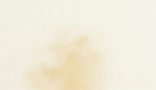 Gemini_Generated_Image_x23axqx23axqx23a (3)_edited.jpg