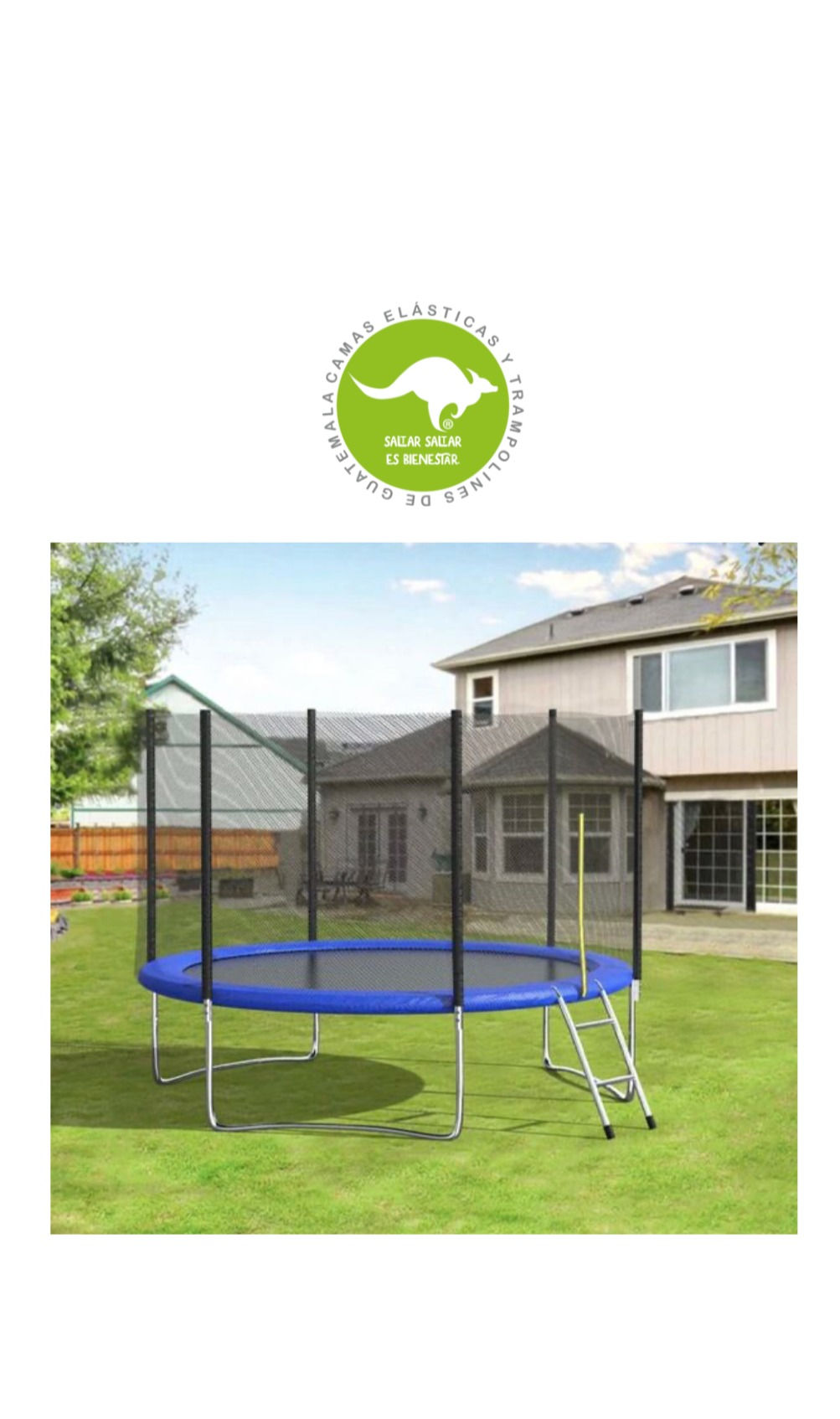 Cama Elástica Premium (2.50m)