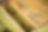 DSC_6872_preview.jpeg.jpg