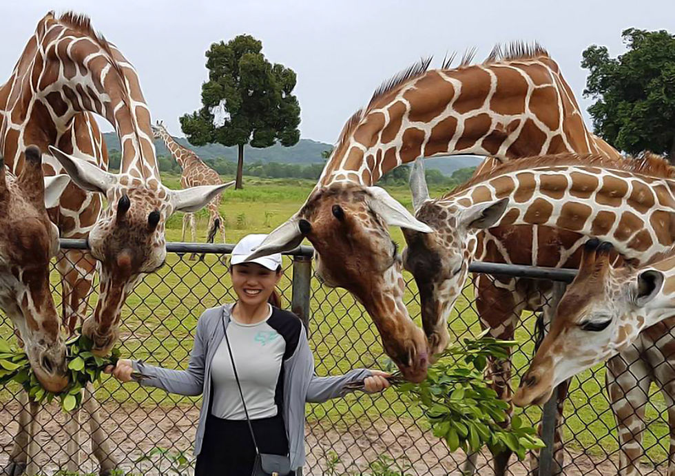 Busuanga-Palawan-Calauit-Safari-Tour