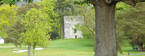 Rossdhu Castle Wall