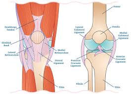 Runner’s Knee – Causes, Symptoms & Best Physiotherapy Treatment at Physio360 Chennai.