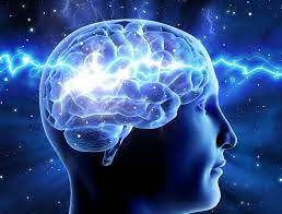 Respiratory Centre of the Brain – The Master Controller of Breathing Physio360.