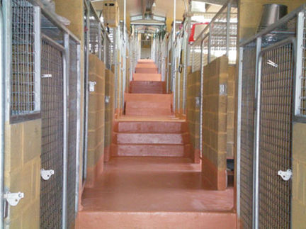 Kennels 2.jpeg