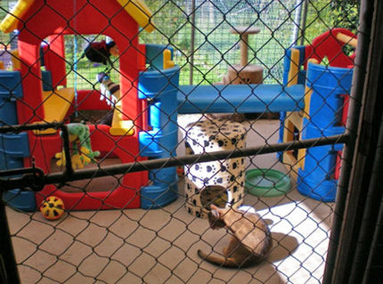Kennels 14.jpeg