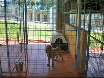 Kennels 1.jpeg
