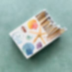 Sea Shells  Candle Matches 2