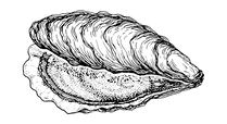 Mussel_edited_edited.png