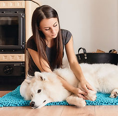191110 Tierphysio Asbeck (213)_edited.j