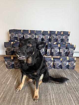 Tilly with his treats