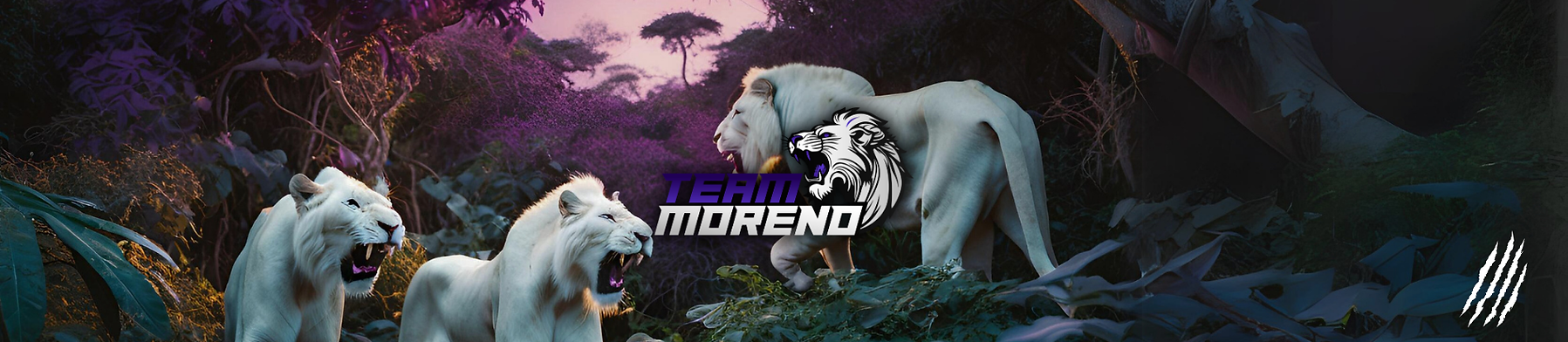 Banner Team Moreno.png