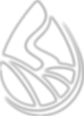 ACCURI TRANS LOGO_edited_edited_edited.png