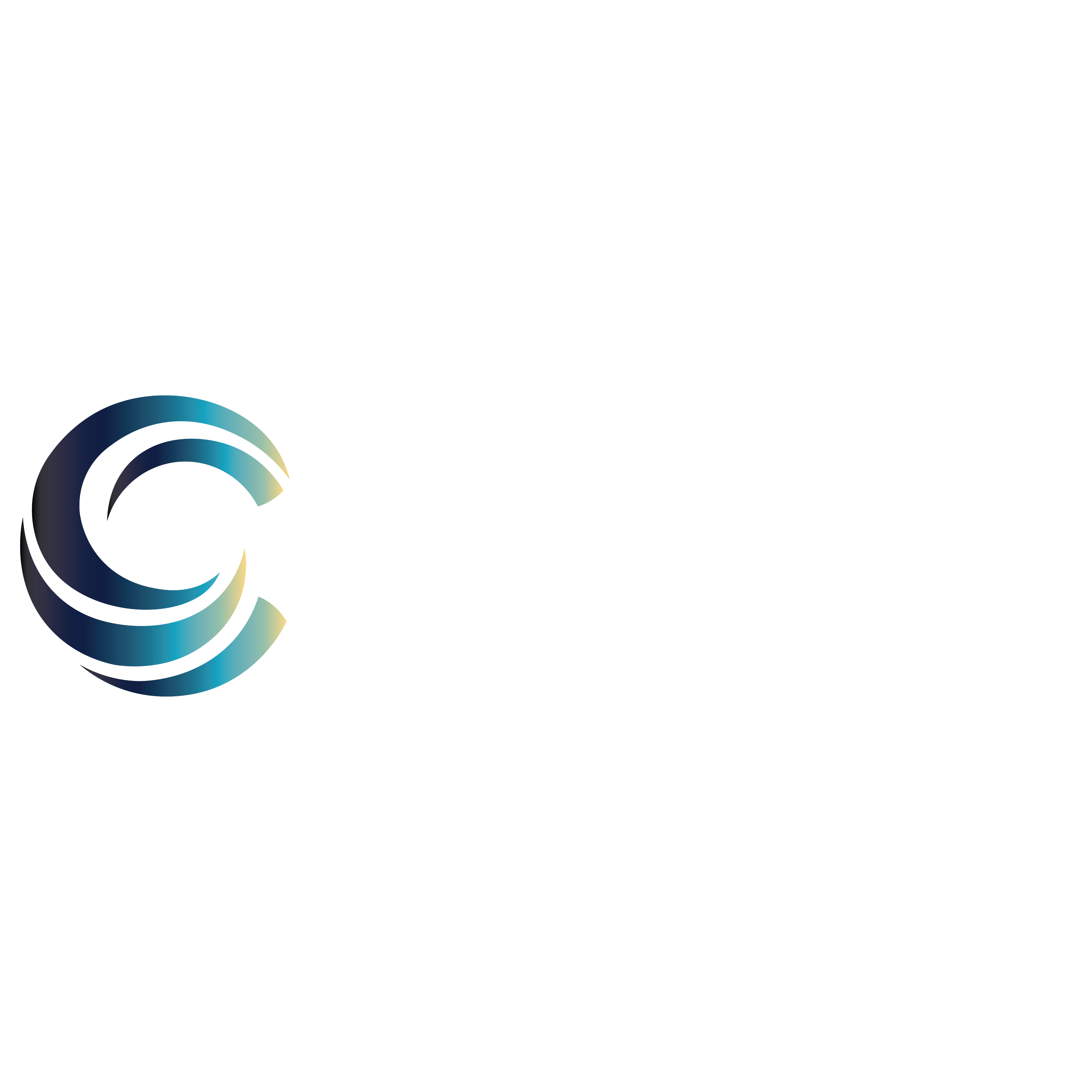 Catalyst Global Partners (10).png